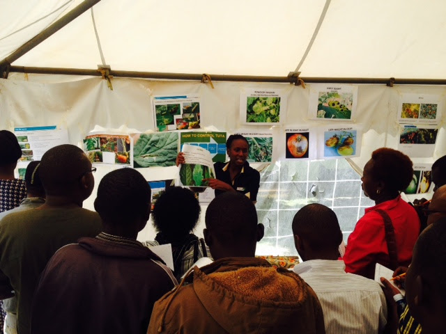 Arifu (Akengo Corp.)