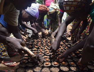 Global Shea Alliance