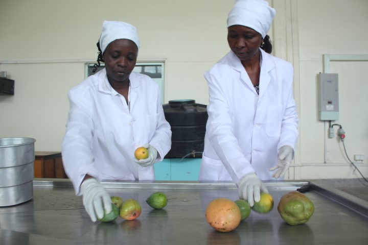 Miyonga Fresh Greens