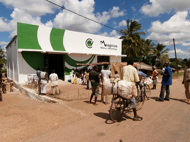Moageiras Milenio de Mocambique