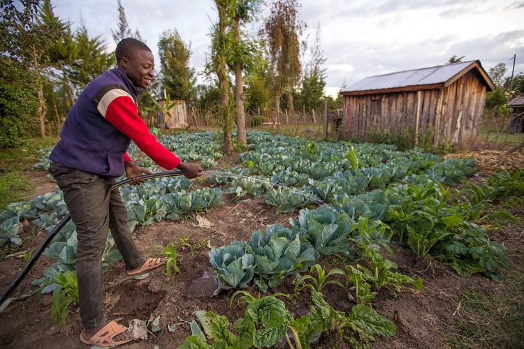 SunCulture Kenya Limited