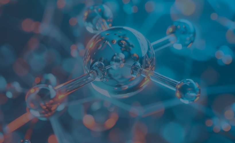 Securities Class Actions in the Life Sciences Sector 2024