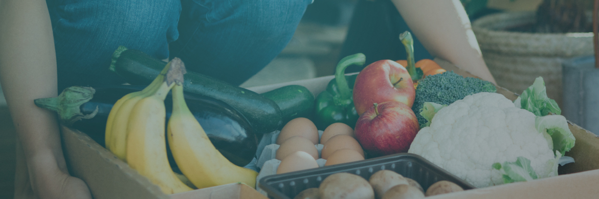 GratiFoodNYC Combats New York’s Growing Food Insecurity Crisis