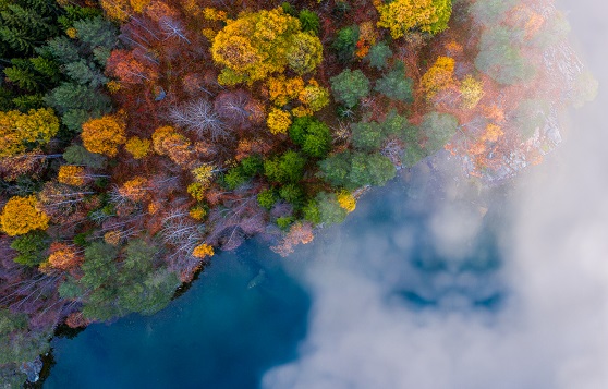 How the Supreme Court’s EPA Ruling Complicates Climate Action and What Companies Can Do