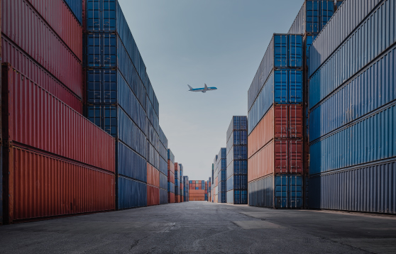 How Companies Can Navigate Uncertainty Amid Tariffs and Government Cuts