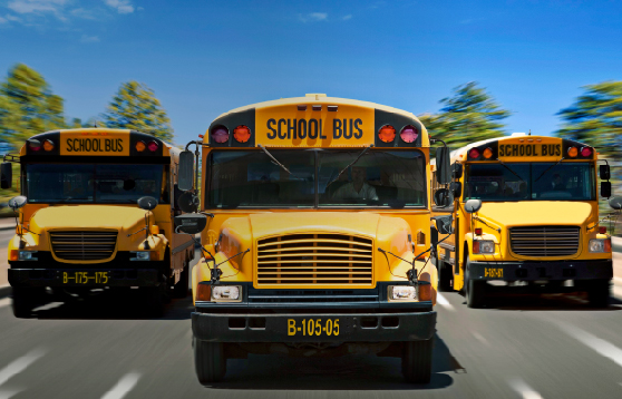 Can the Yellow School Bus Go Green?