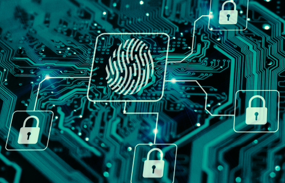 Schrems II Fallout Continued: Finalised EDPB Recommendations Released